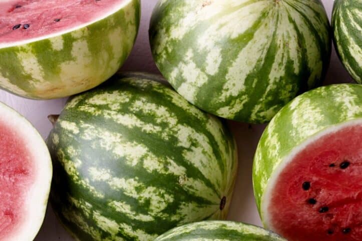 Sandia propiedades