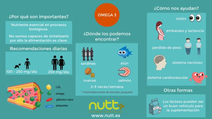 Omega 3 infografía