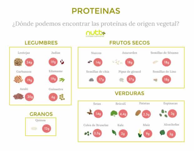 proteinas-vegetales-proteinas-animales-nutricion-nutricionista-valencia-nutt-elisa-ecorihuela