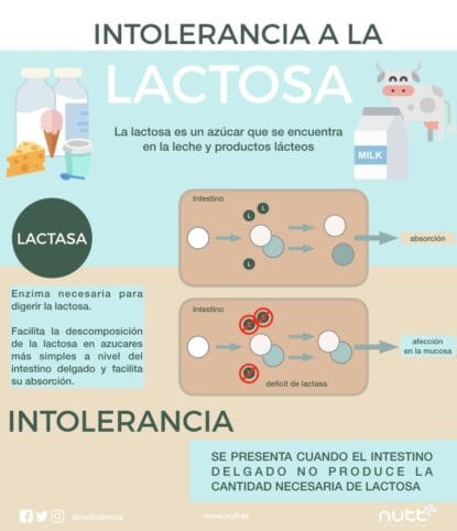 intolerancia a la lactosa intolerancia a la lactosa
