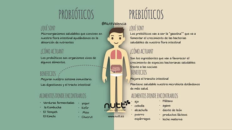 Resultado de imagen de probioticos y prebioticos