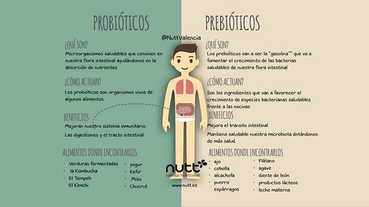 Microbiota Flora intestinal