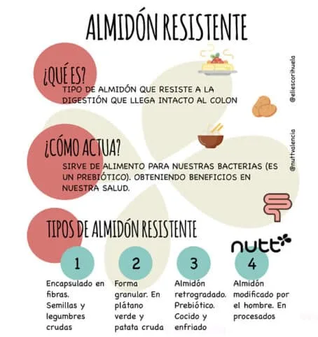 Almidón resistente 3 Tipos de almidón