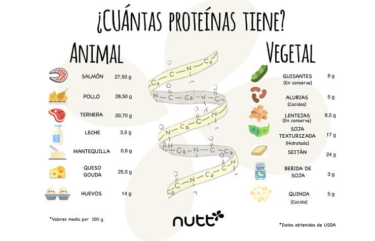 Proteínas animales vs. vegetales