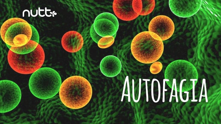 Autofagia y ayuno intermitente