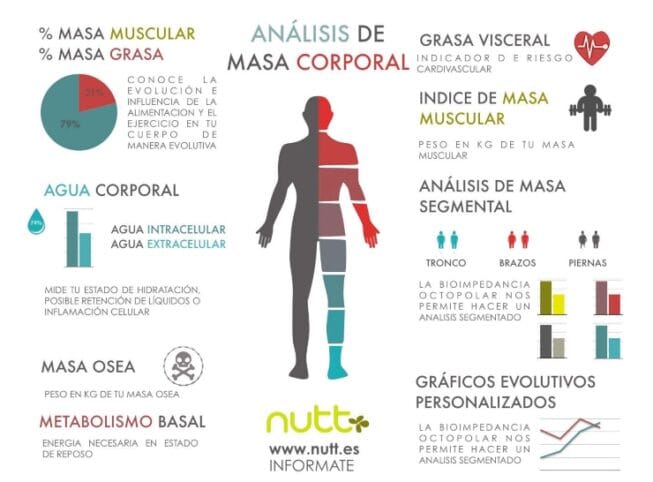 análisis de masa corporal o estudio antropométrico