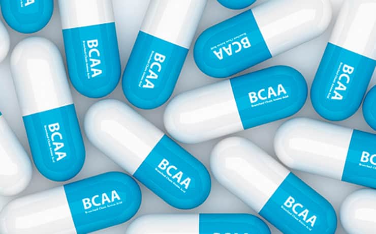 bcaas proteínas suplementación deportiva