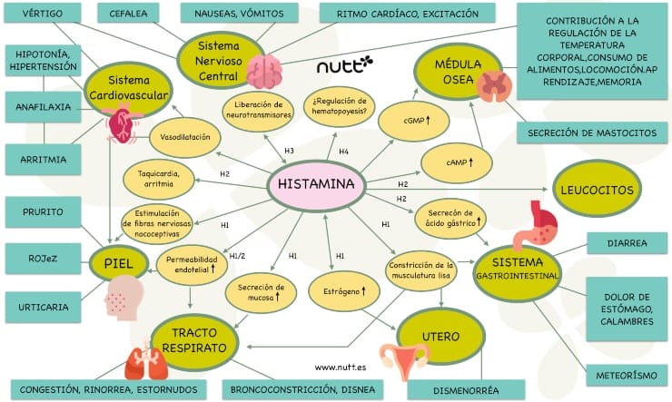 histaminosis deficit de dao sintomatología