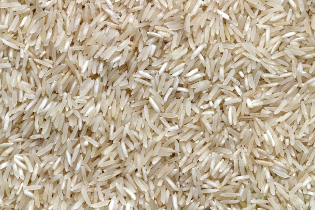 El arroz características y tipos