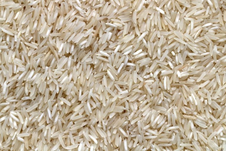 El arroz características y tipos