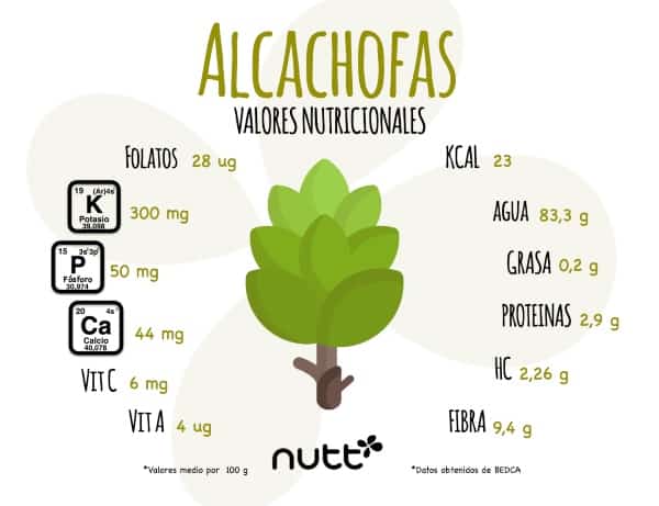Alcachofa sus propiedades y beneficios nutricionista Valencia Nutt infografía