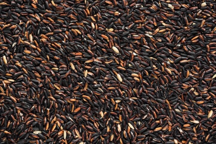 Arroz salvaje