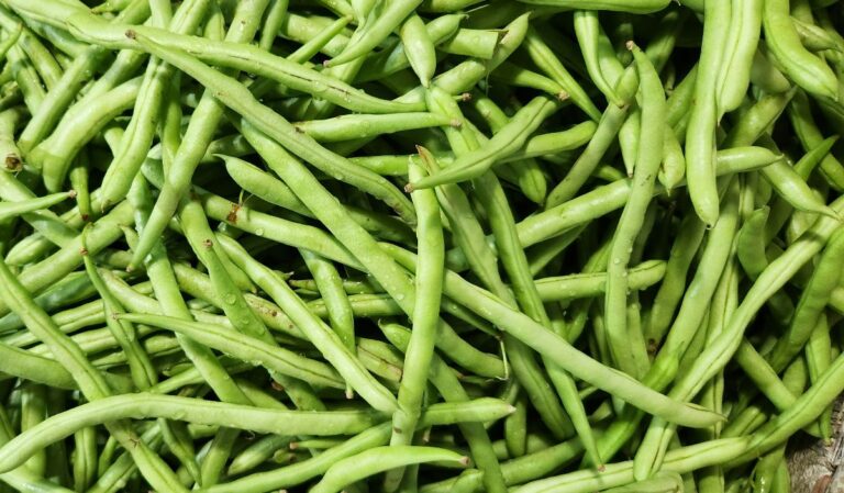 judias verdes salteadas