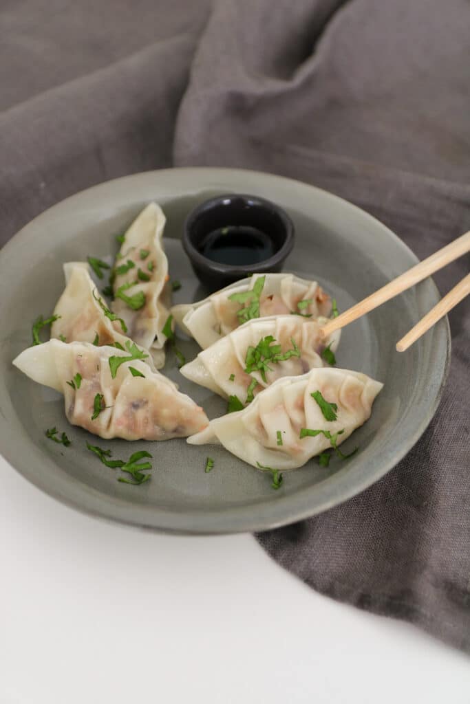 gyozas de carne