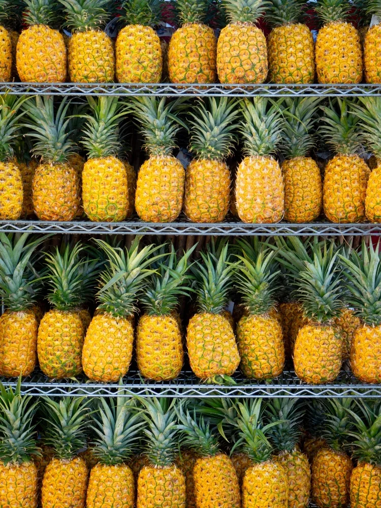 enzimas digestivas piña