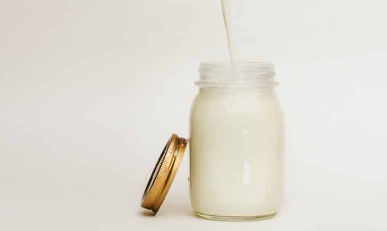 cuántas raciones de lácteos día leche