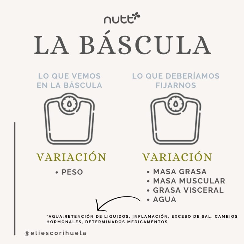 que es el IMC lo que se ve en la báscula