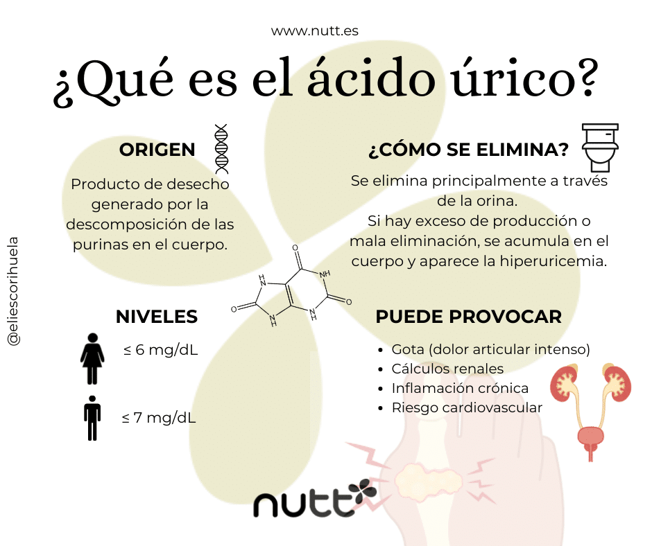 que es el ácido úrico nutt