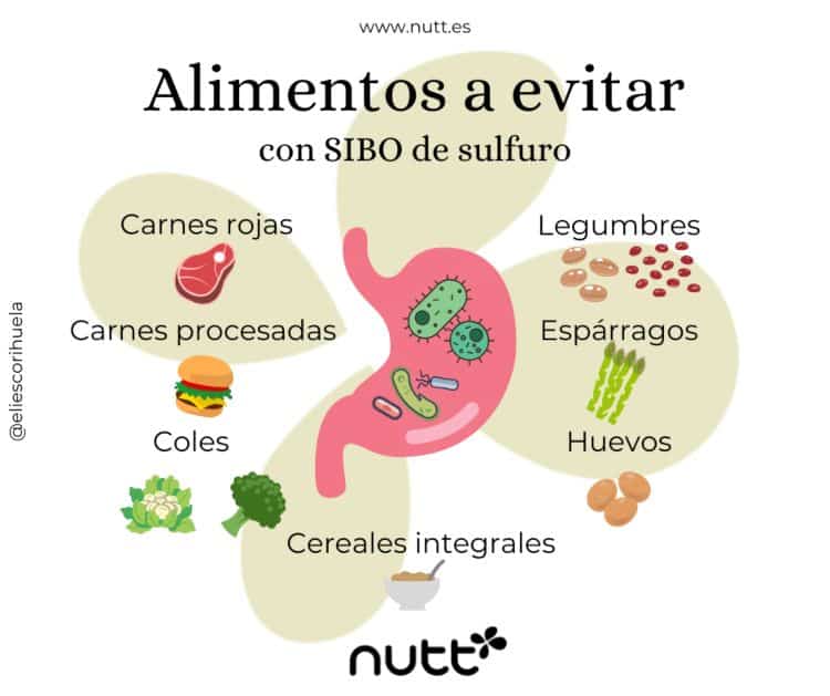 alimentos evitar SIBO sulfuro