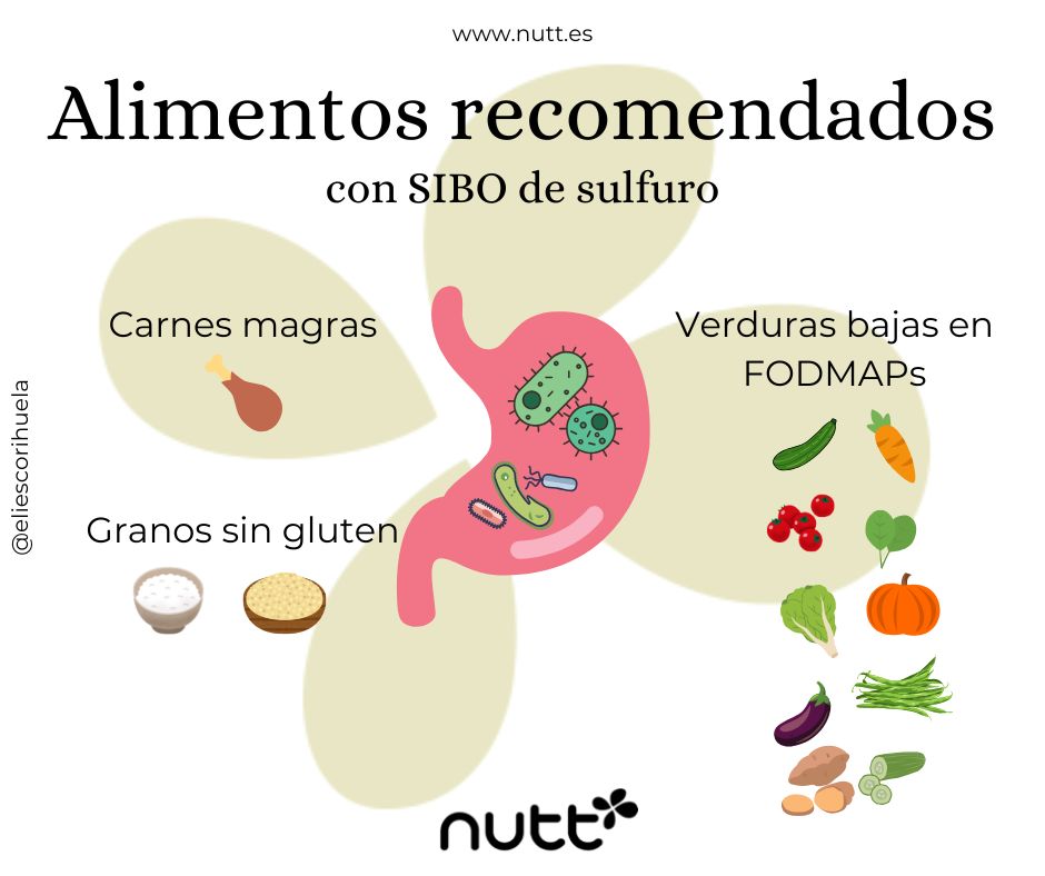 alimentos recomendados SIBO sulfuro