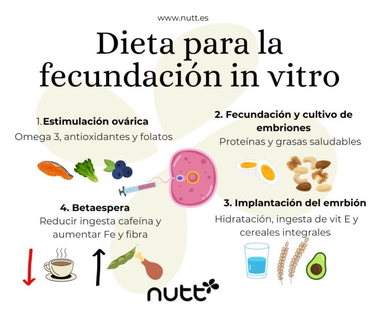 dieta para la fecundación In Vitro nutricionista FIV