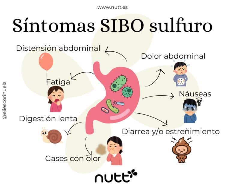 síntomas SIBO sulfuro